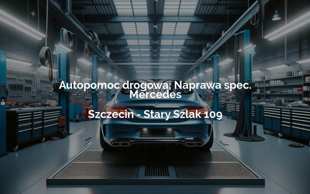 Autopomoc drogowa; Naprawa spec. Mercedes – Szczecin
