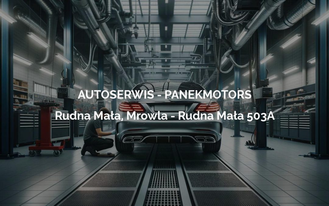 AUTOSERWIS – PANEKMOTORS – Rudna Mała, Mrowla