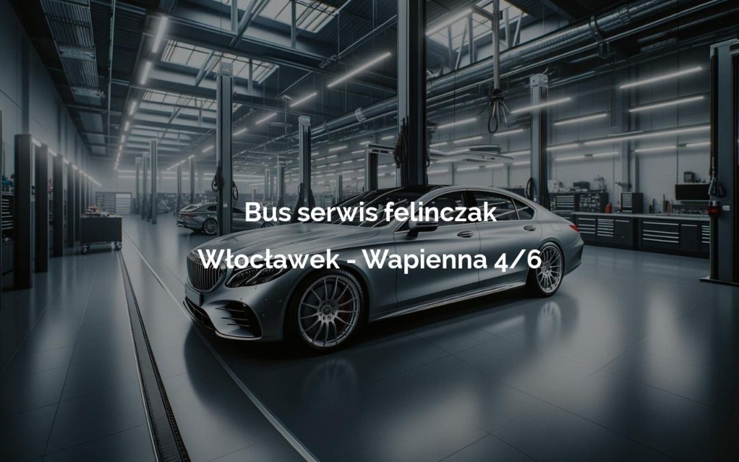 Bus serwis felinczak – Włocławek