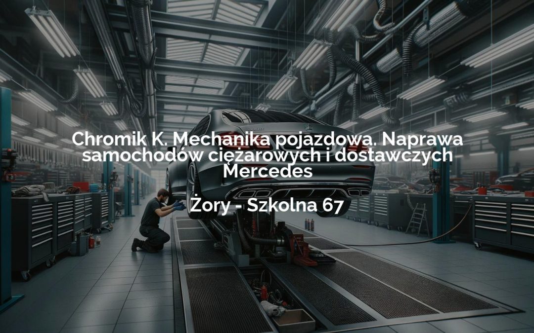 Chromik K. Mechanika pojazdowa. Naprawa samochodów ciężarowych i dostawczych Mercedes – Żory