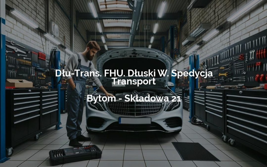 Dłu-Trans. FHU. Dłuski W. Spedycja Transport – Bytom