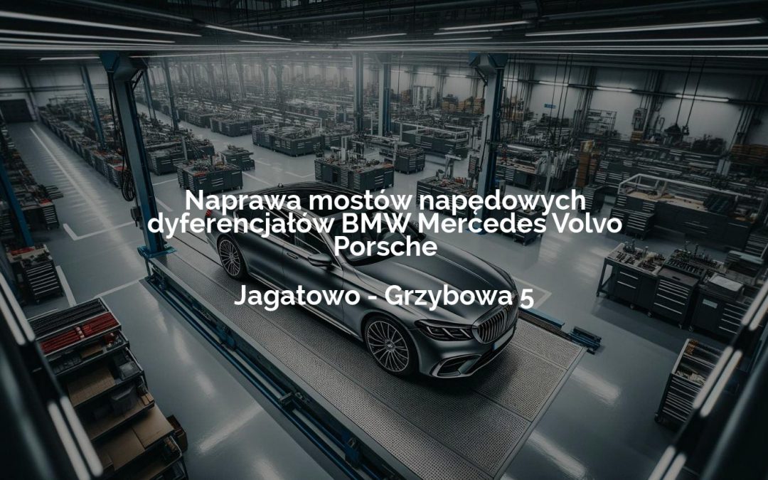 Naprawa mostów napędowych dyferencjałów BMW Mercedes Volvo Porsche – Jagatowo