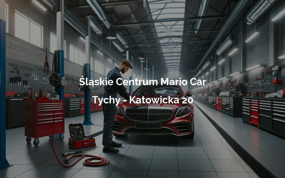 Śląskie Centrum Mario Car – Tychy