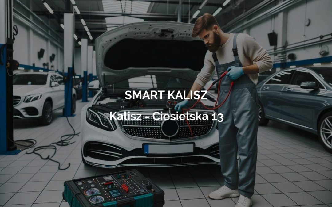 SMART KALISZ – Kalisz